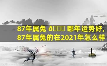 87年属兔 🐛 哪年运势好,87年属兔的在2021年怎么样